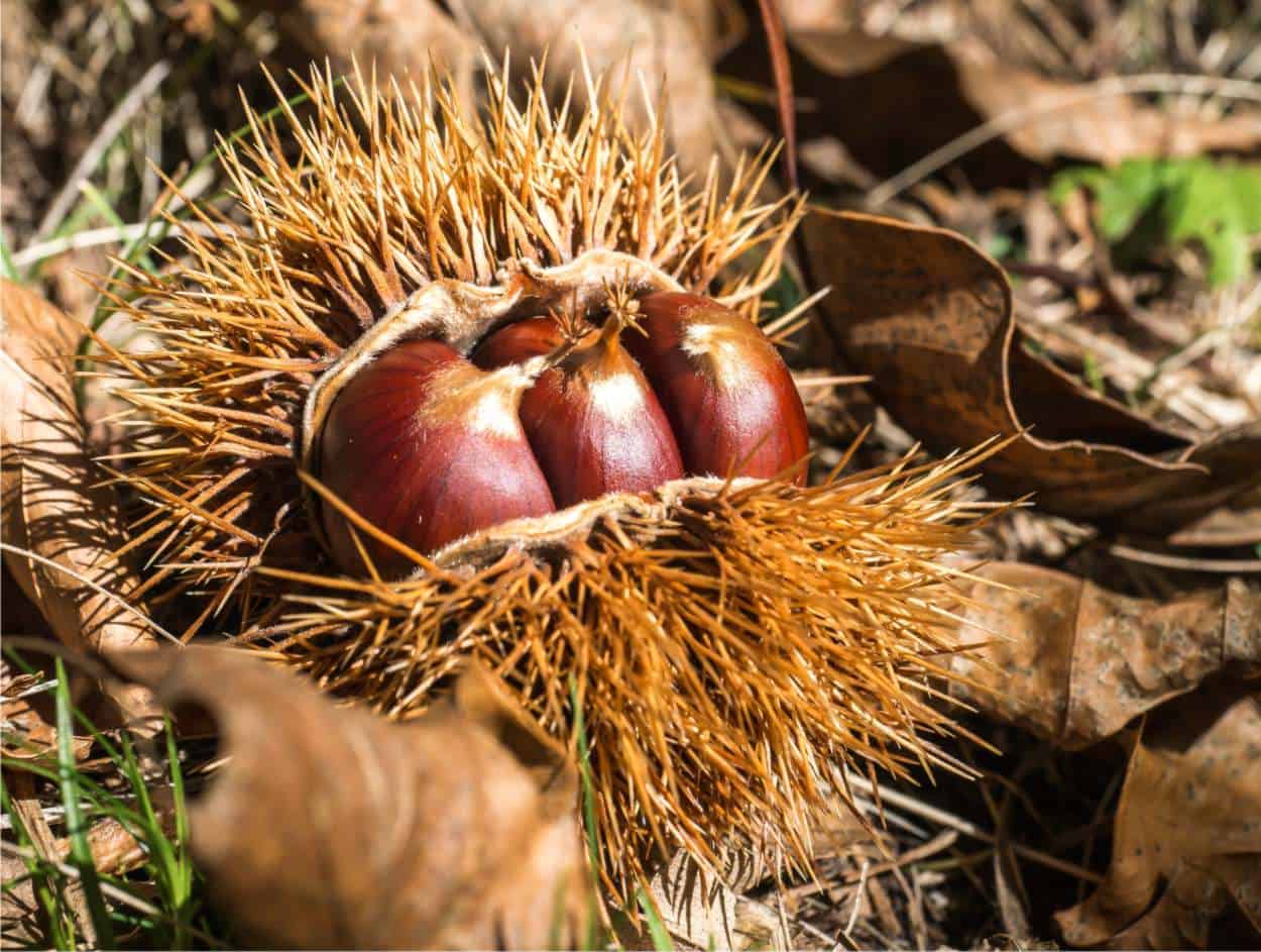 Scadenzario mese di Novembre 2024